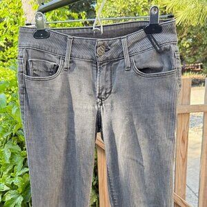 Black Orchid Gray Pinstripe Skinny Jeans | Size 26 | Soft Stretch Denim